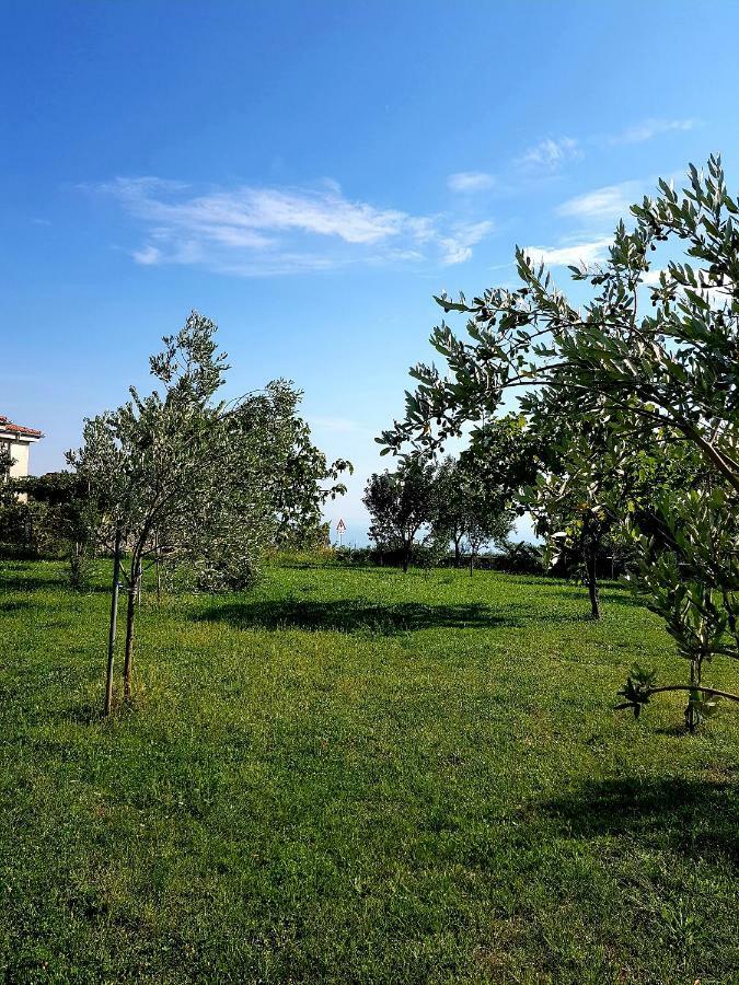 Apartmani Subasic Rubesi ภายนอก รูปภาพ